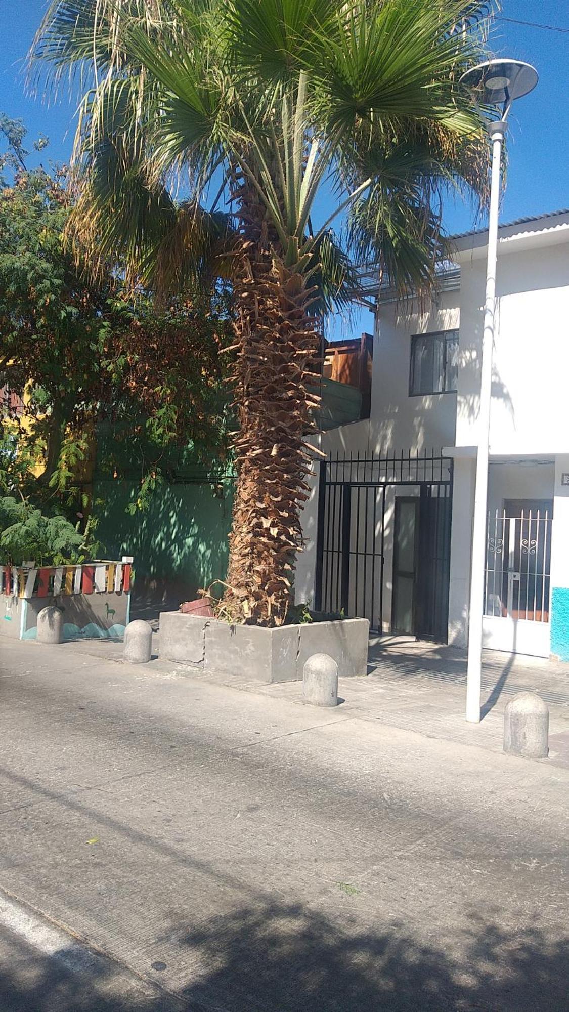 Hostal La Ruca Αντοφαγάστα Εξωτερικό φωτογραφία